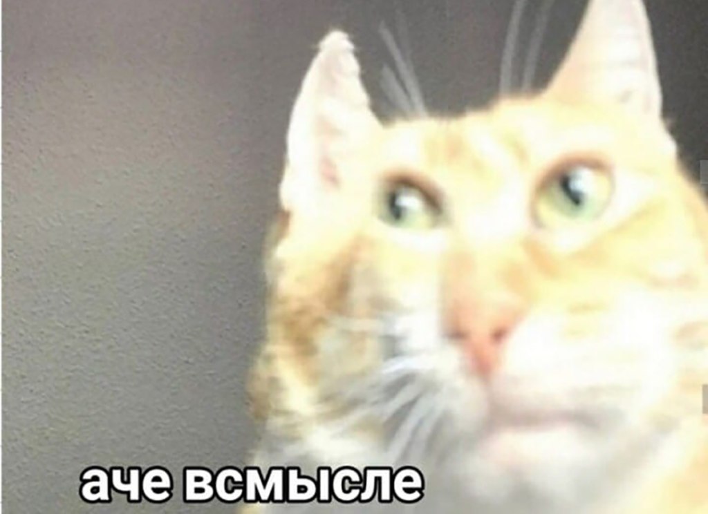 Meme 6