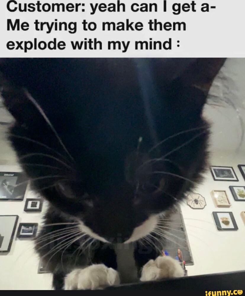 Meme 7