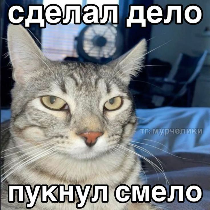 Meme 10