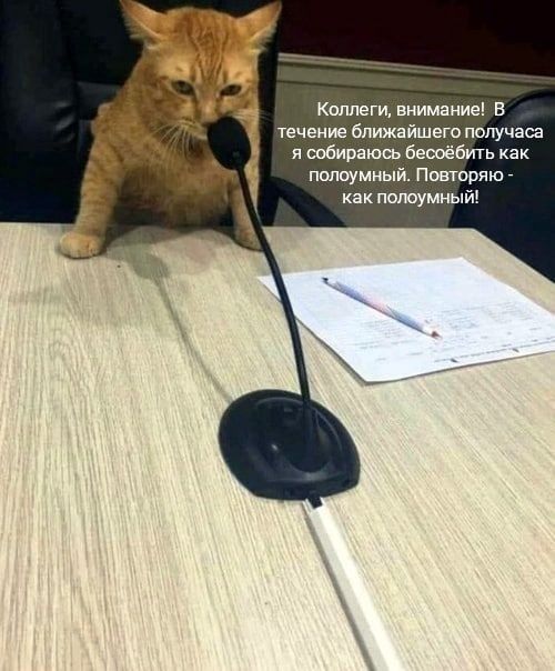 Meme 11
