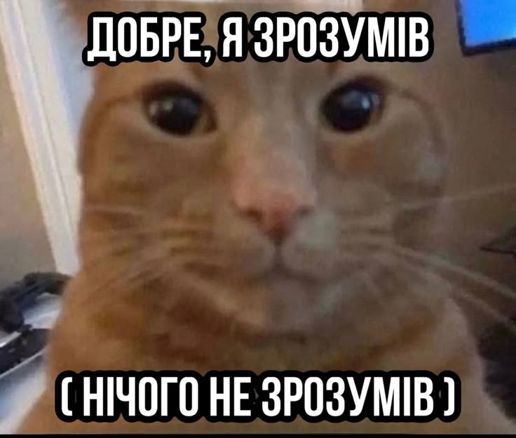 Meme 13