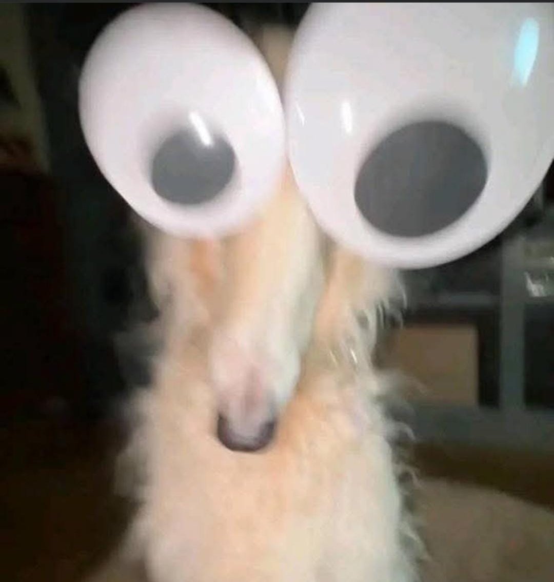 Meme 23