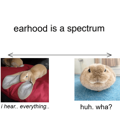 Meme 24