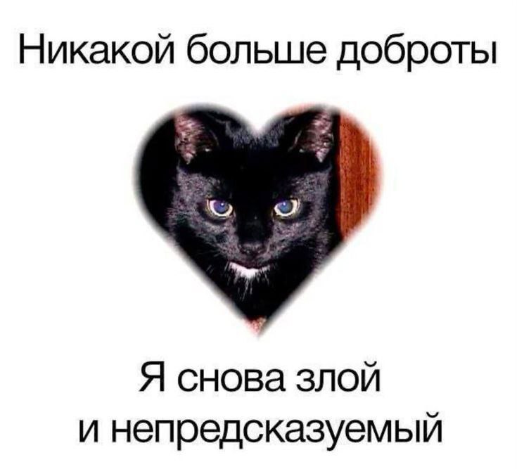 Meme 25