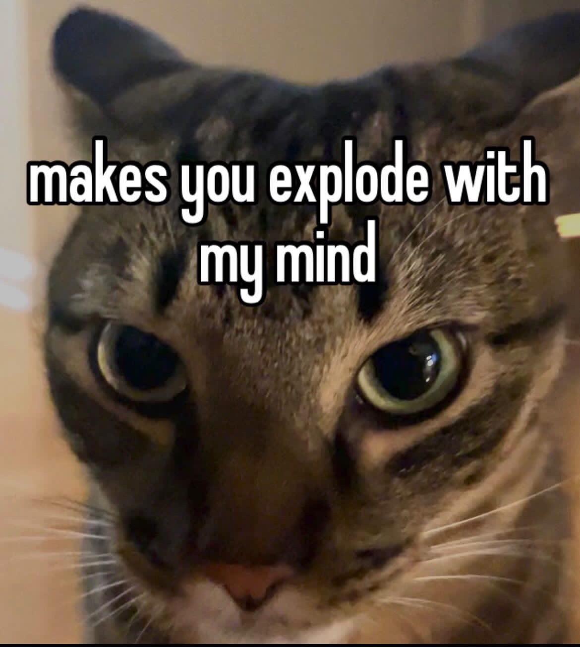 Meme 27