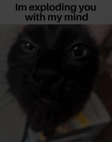 Meme 34