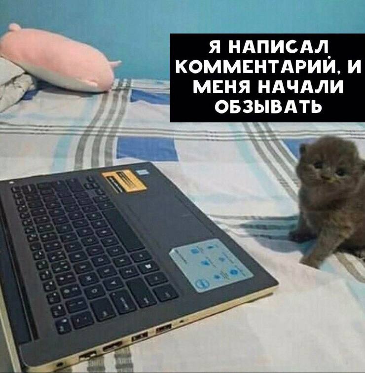 Meme 38