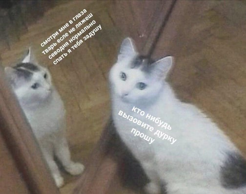 Meme 41