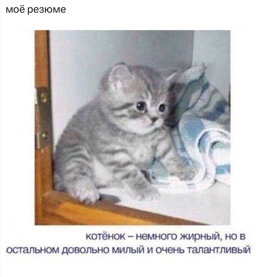 Meme 42