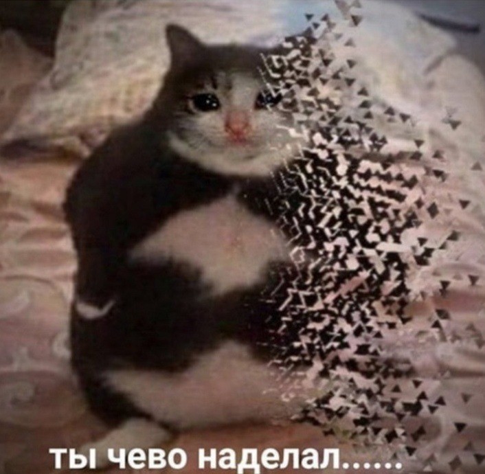 Meme 45
